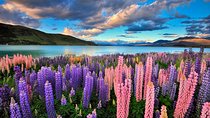 4-Day Great Southern Island Circle Tour from Christchurch