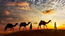 12-day Private Tour: Maharaja Rajasthan