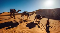 Private 5 Days journey to the Golden desert