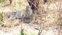 Tarangire National Park 2 Days Tour