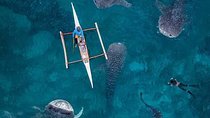 Cebu: 3 Days 2 Nights in Private Cebu Tour 
