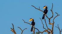 2 Days Tour to Yala & Kumana National Park From Colombo