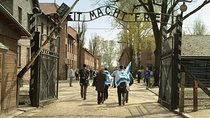 Auschwitz-Birkenau Museum and Memorial Guided Tour from Krakow