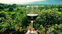 Private Half Day Wine Tasting tour: Road Of The Doges