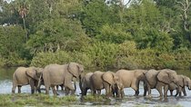 3 Days Selous Escape from the usual, Short Tanzania Safaris.