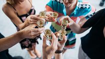 Deluxe Polish Vodka Tour Experience in Krakow