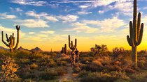 2-Hour Arizona Desert Guided E-Bike Tour