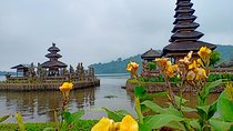 Solo or Group Tour - 10 Hours, 5 Persons Max