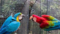 3 Days and 2 Nights 4 Stars Hotel Iguassu Falls - Private Tours