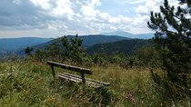 4-Hour Private Alpine Hiking Tour 'Enzian'