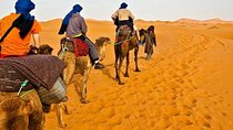 Red Dunes Desert Safari Plus ATV Quad Bike Ride (Land Cruiser)