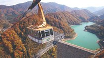 2-Day Niigata Autumn Tour including Naeba Dragondola and Ropeways