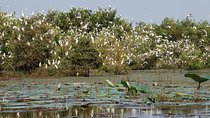Mekong Delta Tours 3days - CaiBe Vinh Long ChauDoc CanTho