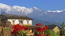 1 Night 2 Days Dhampus Excursion Trip