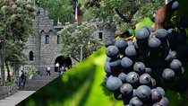 Private Santiago Full-Day Layover Tour