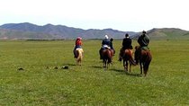 Amazing Nomadic Adventure