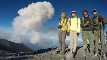 2Day - Semeru Trekking Adventure via Malang with Local Guide