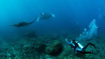 Bali Hai - PADI Advance Open Water Course in Lembongan