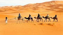 Camel Trekking Dubai with Dune Bashing and Sand Boarding