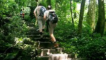 2-day Ninh Binh: Bai Dinh - Trang An & Cuc Phuong National Park