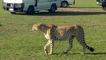 3Days 2nights Masai Mara group joining safari