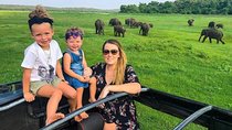 Sri Lanka sightseeing tours. 5-Night 6-Days (All Inclusive)