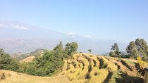 Kakani to Surya Chaur Hike (Kathmandu Day Hiking)