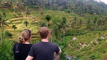 Ubud All Inclusive Sightseeing Tour