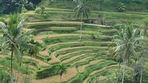 Ubud Kintamani Tour