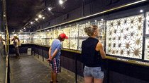 The Mauritius Museum Tour (South)