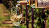 Organic wines of Mtskheta - private tour with lunch and wine tastings