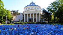 Bucharest Layover Tour (6 - Hour Private City Tour Between Flights)