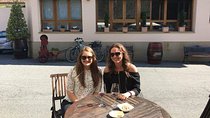 Rioja Wine Private Tour from San Sebastian 