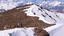  Experience Wildlife Encounter in Provincia Mountain of Chile.