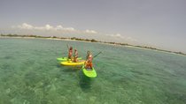 Paddleboard Rentals 3, 5 , 7 days