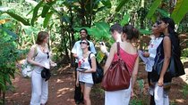 Spice Tour And Home-Cooked Goan Lunch At An Organic Plantation