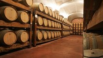 Cagliari: Experience Tasting from Chia