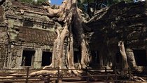 Half-Day Ta Prohm and Banteay Kdei Tour