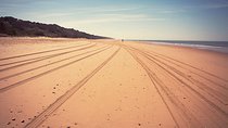 Doñana Natural Park Full-Day Tour from Seville