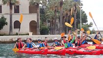 Half-Day Split Sea Kayak Adventure