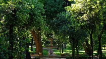 Villa Borghese and Posh Areas Unique Photo Tour and Workshop