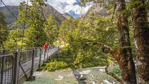 Routeburn Track Guided Walk (Half-Day) 