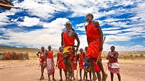 12-Days Best of Kenya and Tanzania Wildlife Private Safari