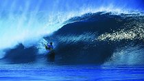 Private 1:1 Bodyboarding Lesson with Pro Coach in Waikiki