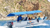 Land’s End Experience – Arch, Beaches & Marine Life