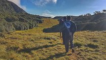 Chariot Path Hiking 