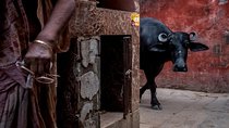 Varanasi Puzzled Alleys and Hidden Shrines