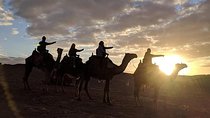 Giza Pyramids-Camel ride-Trip during Sunrise or sunset