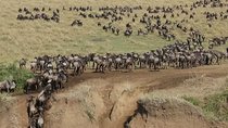 Overnight private Safari to Masai Mara National Reserve.