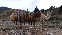 Ultimate Imlil Valley and Berber Village Day Trip 